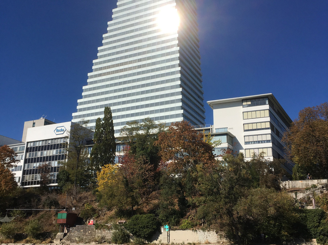 Rhytaxi Basel GmbH景点图片