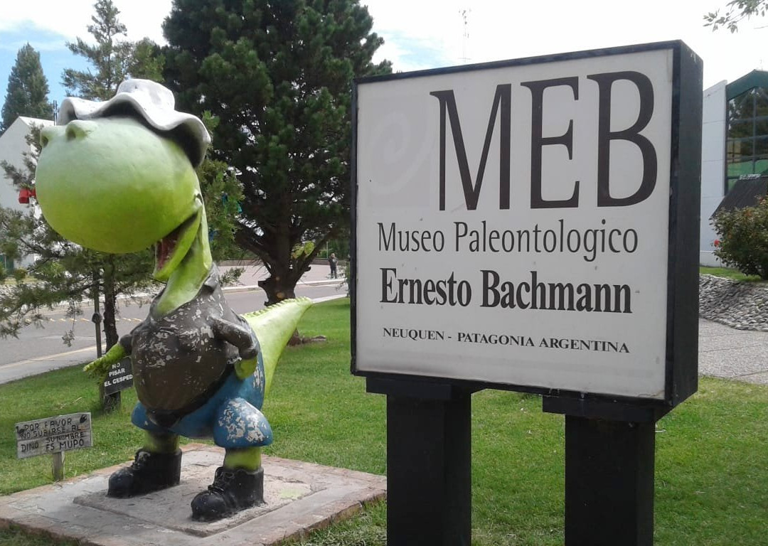 Museo Municipal Ernesto Bachmann景点图片