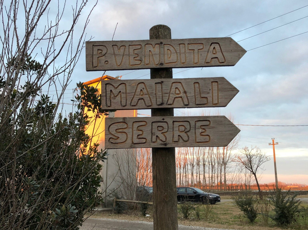 Tenuta Civrana景点图片