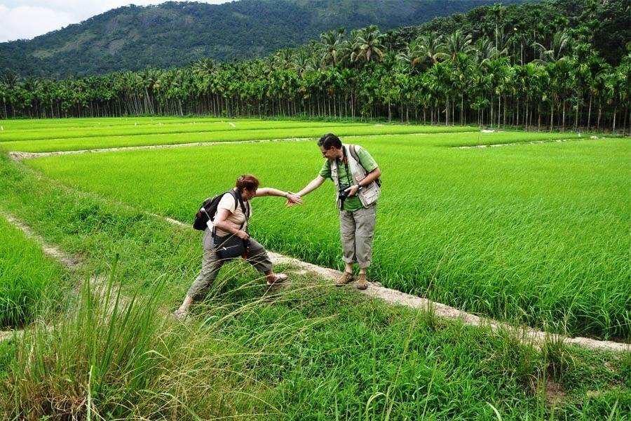 Trip My Kerala-柯钦必去景点