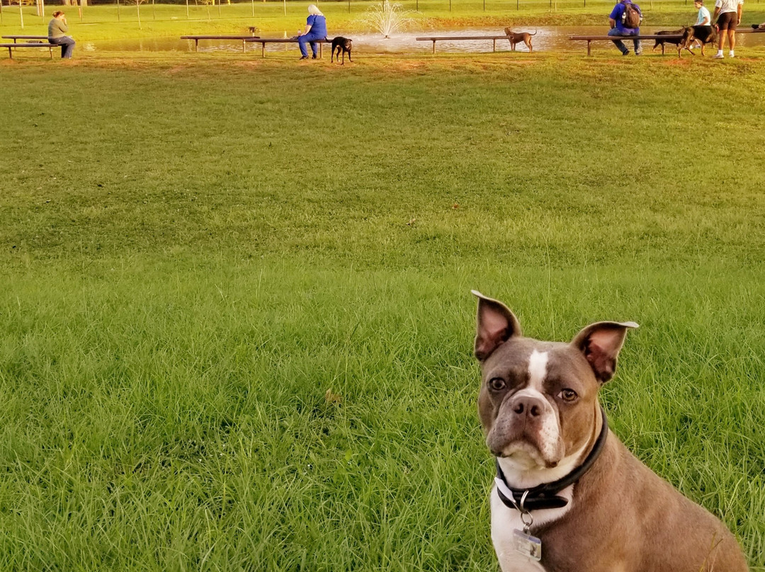 Shreveport Dog Park-什里夫波特必去景点
