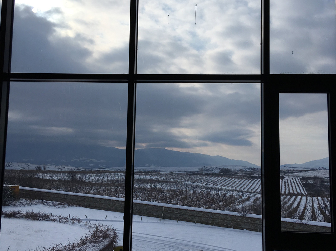 Orbelus Organic Winery-Blagoevgrad必去景点