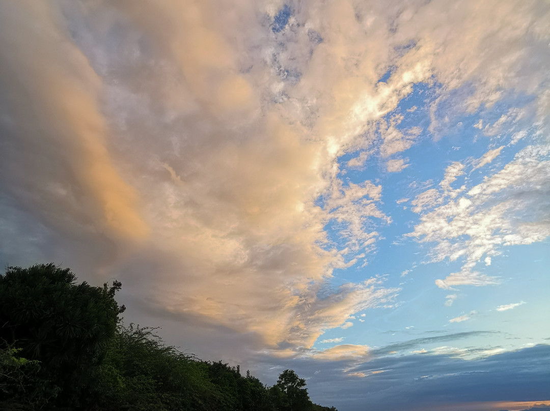 Hale Manna Coastal Gardens主图