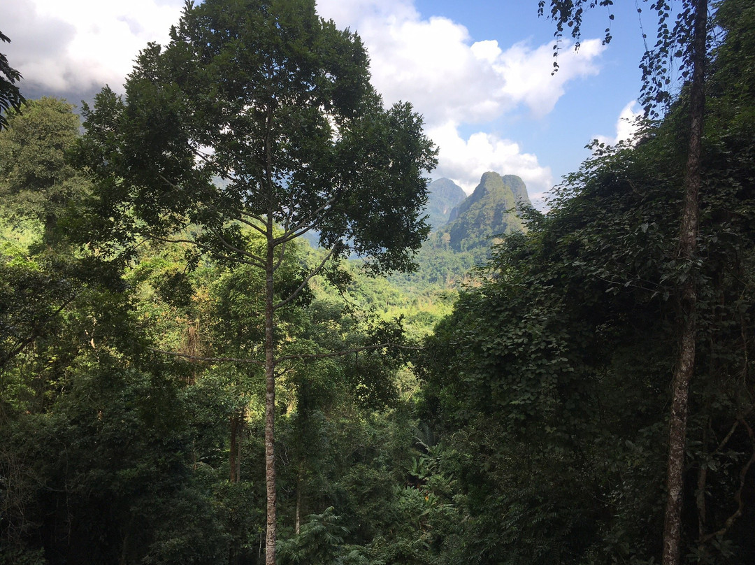 Nong Khiaw Jungle Fly-Nong Khiaw必去景点