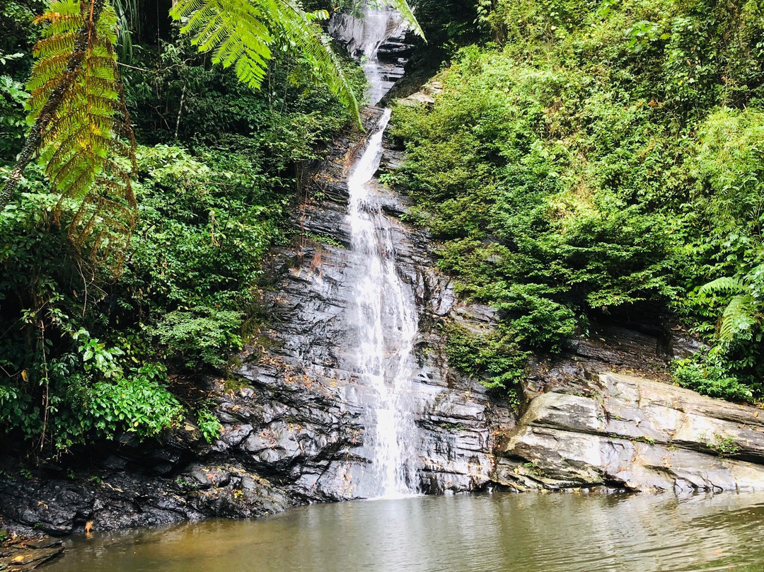 New Rizal Waterfalls景点图片