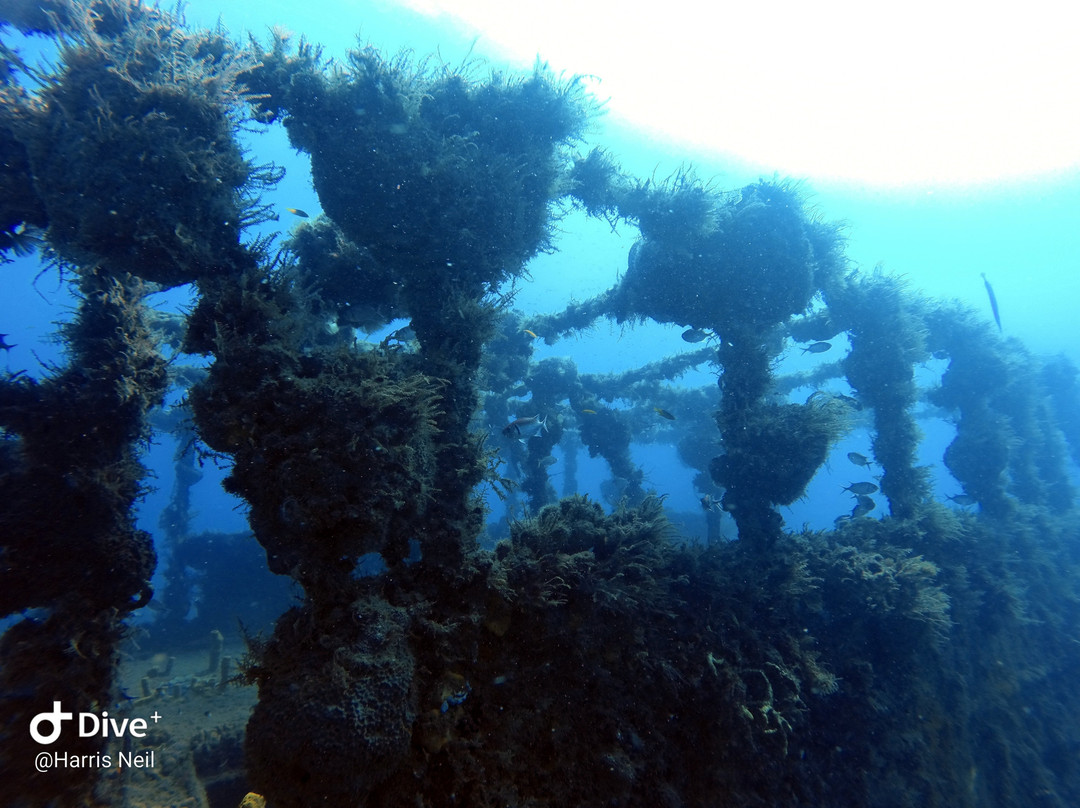 Club de Plongée Batelière-Schoelcher必去景点