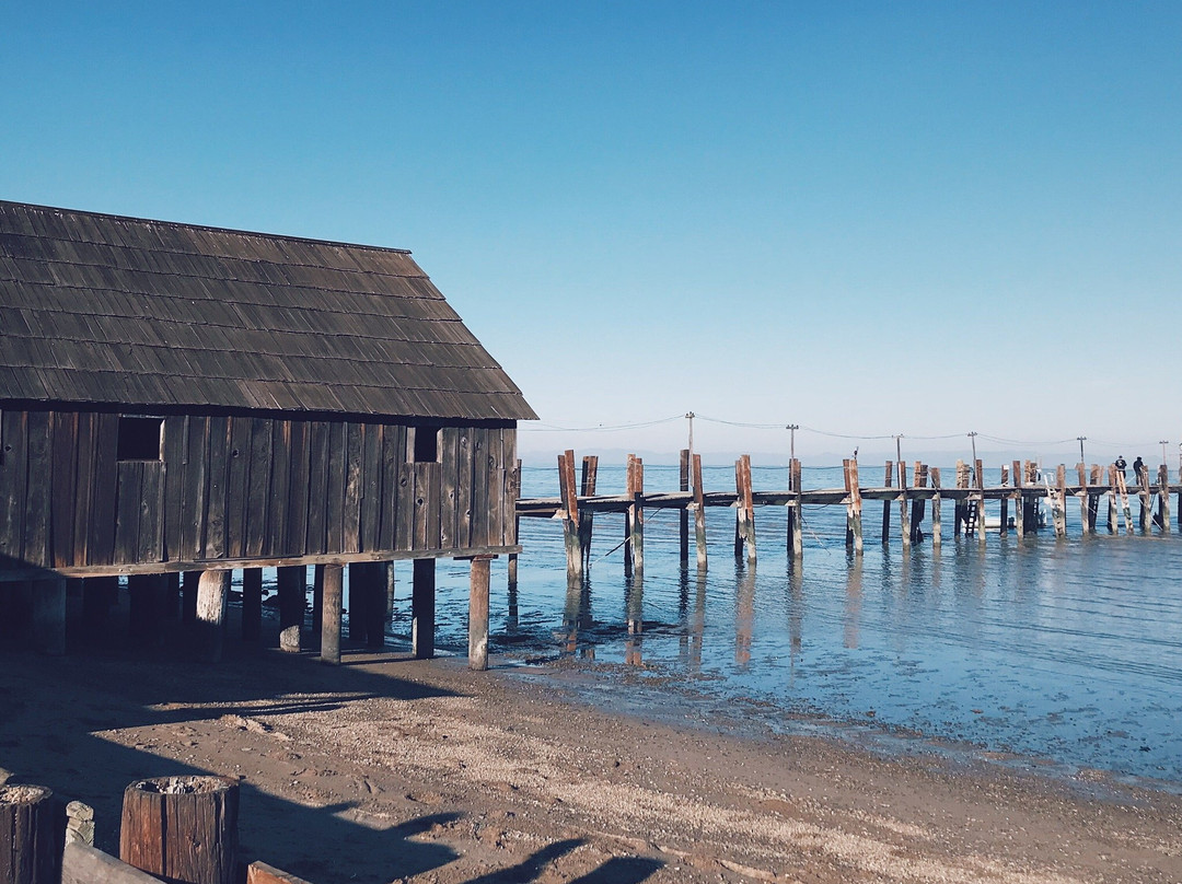 China Camp State Park景点图片