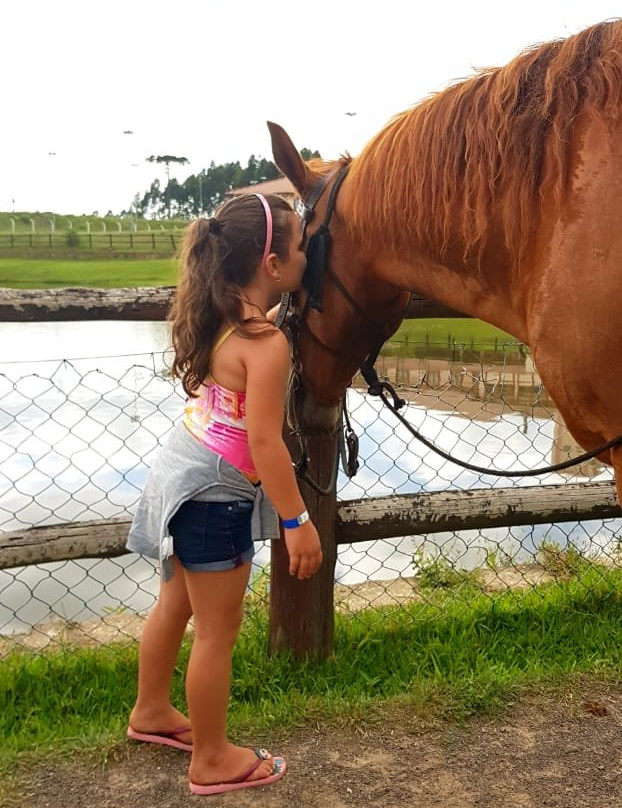 Sesc Pousada Rural em Lages主图