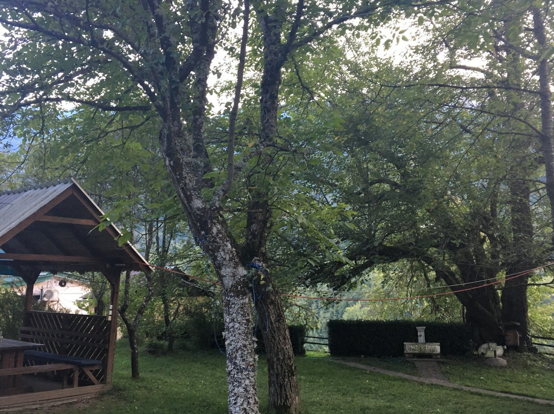 Rafting Kamp Stari Dud-Foca必去景点