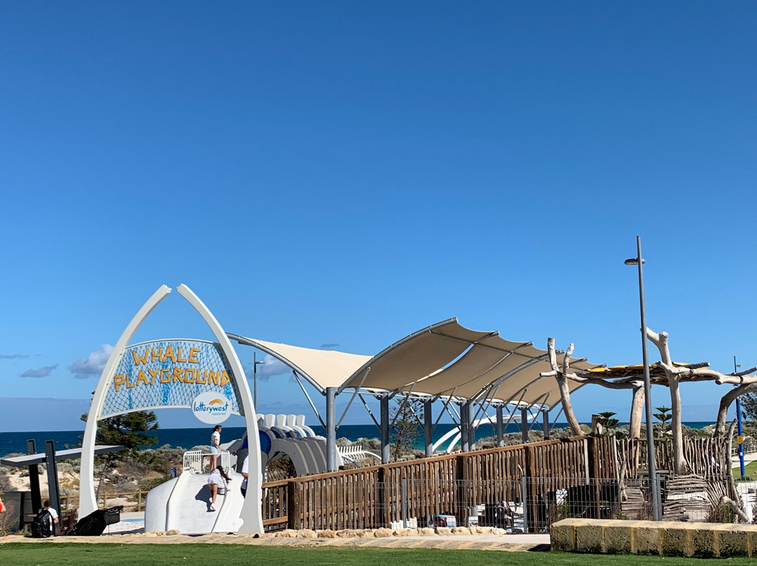 Whale Playground景点图片