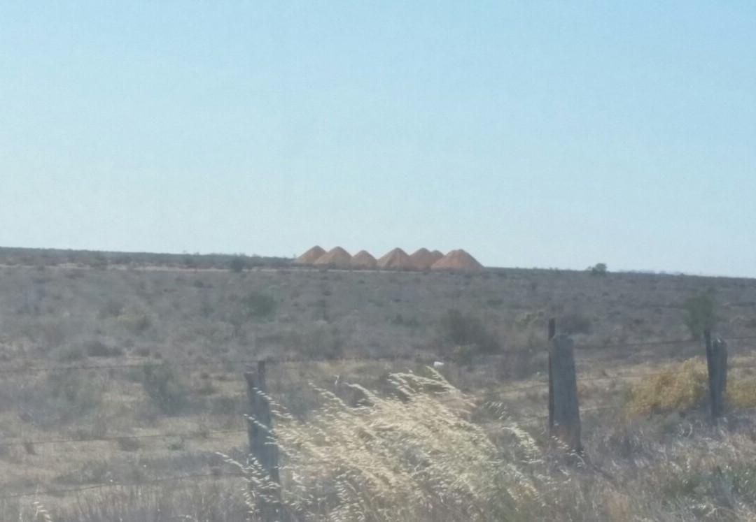 Moorook餐馆和美食-Moonlite Cafe