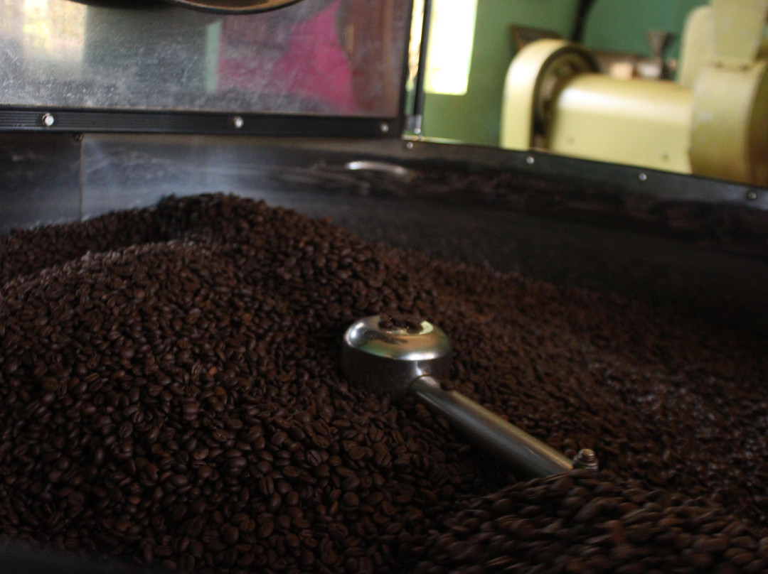 All seasons coffee-奇安波必去景点