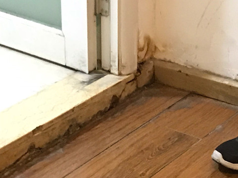 深圳翡翠假日酒店(罗湖口岸店)主图