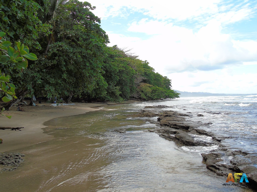 Arenal Forest Adventure景点图片