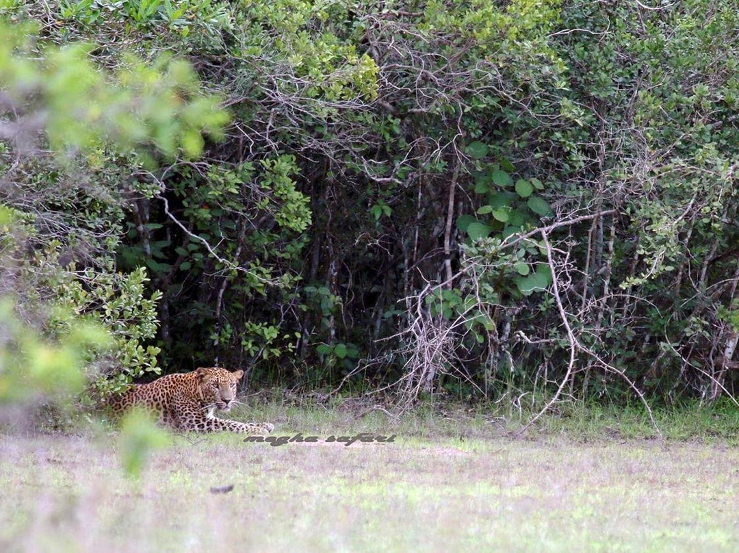 Ajith Diamond Tours-Hambantota必去景点