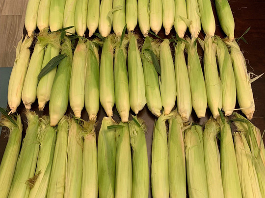 Aloun Farms-火奴鲁鲁必去景点