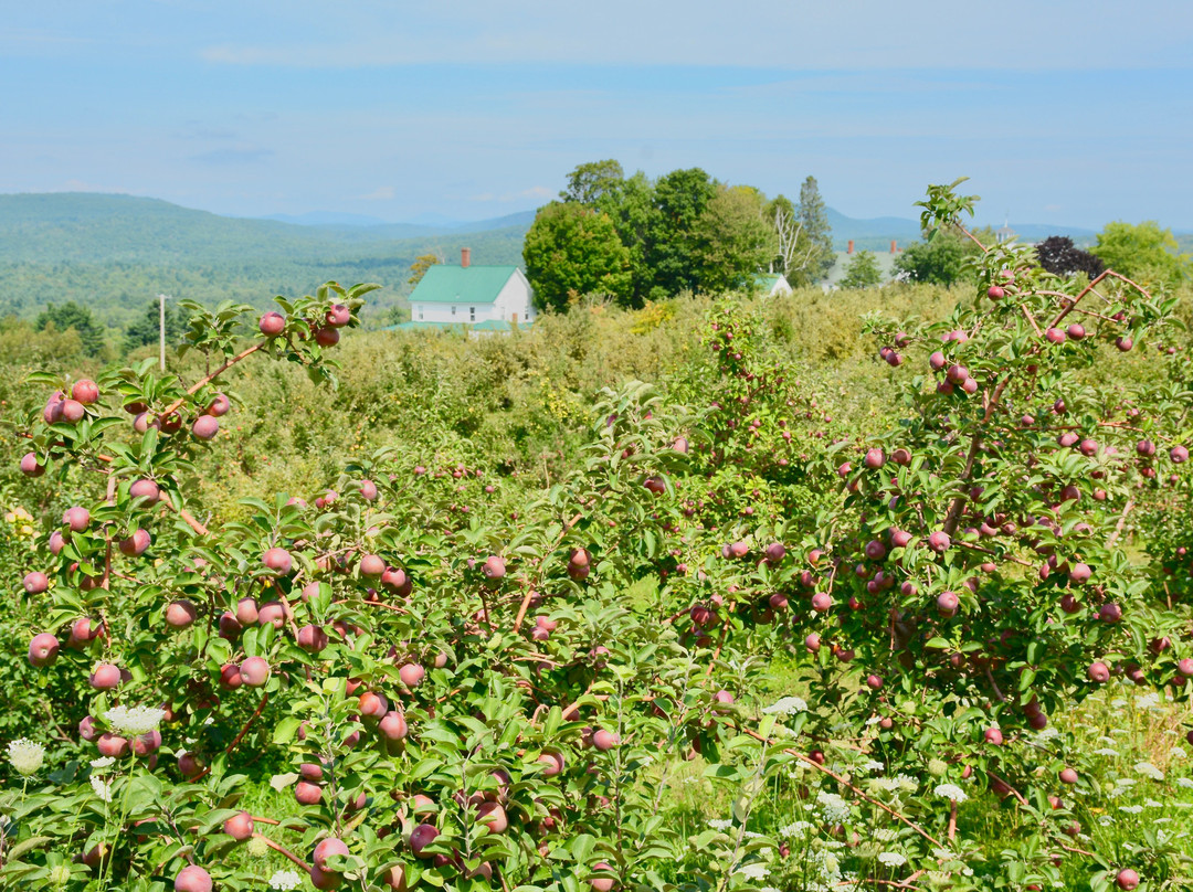 Ricker Hill Orchards景点图片