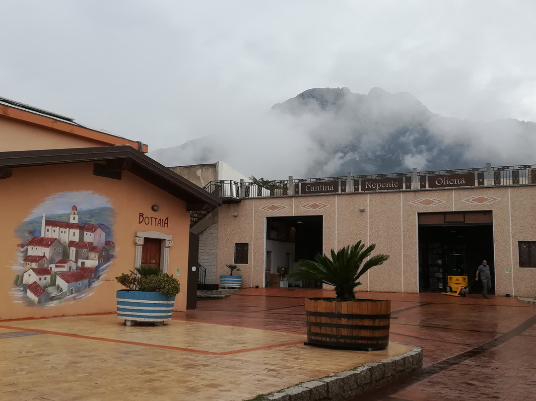 Oliena旅游景点-Cantina Oliena