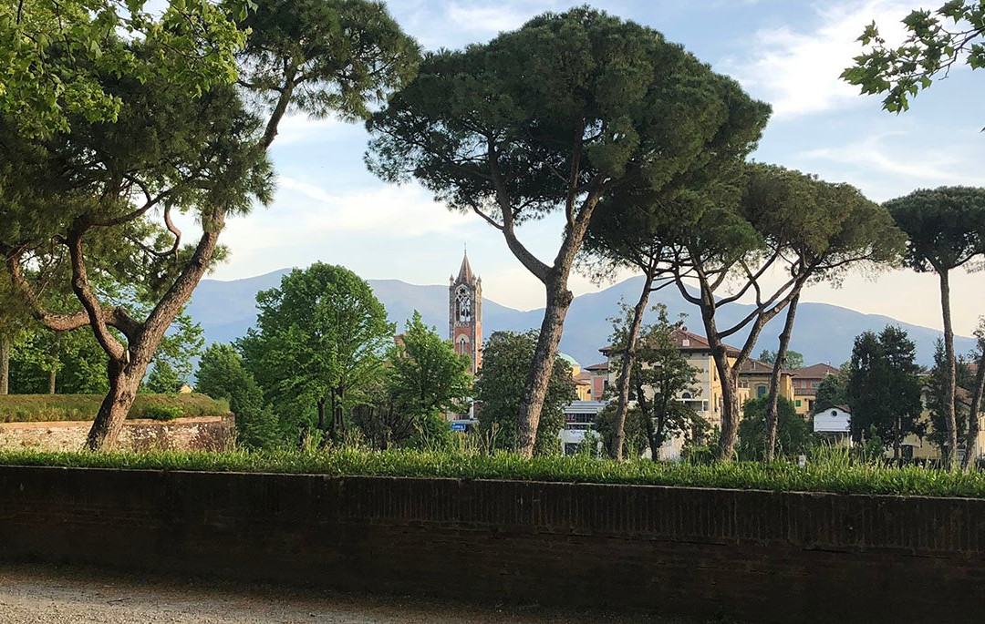 Tuscan Holidays景点图片