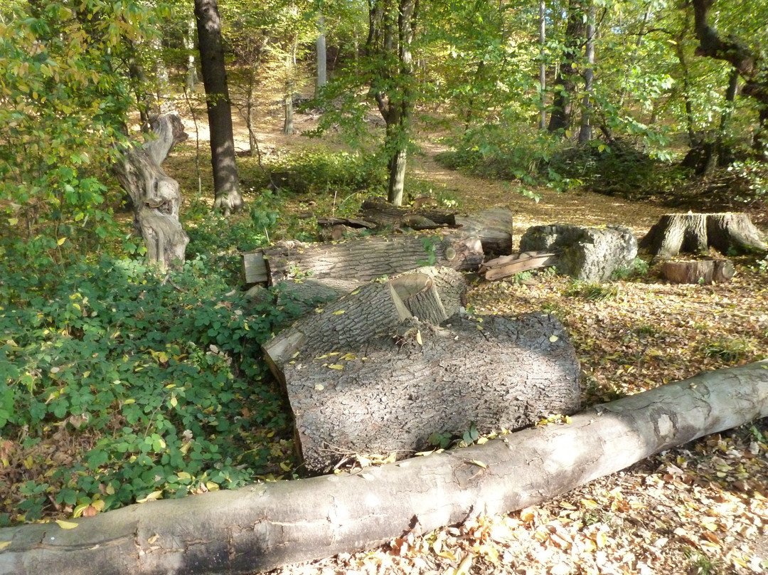 Ruhrtalradweg