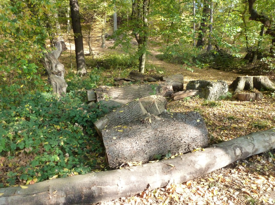 Ruhrtalradweg景点图片