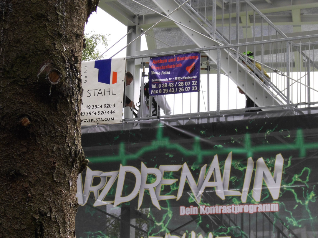 Harzdrenalin - Wallrunning-Thale必去景点