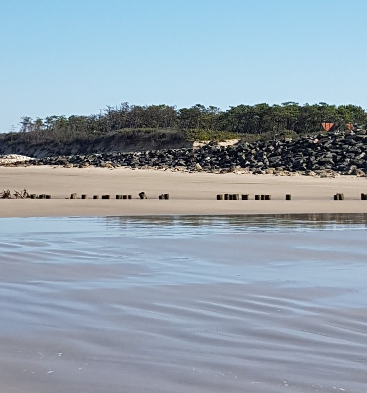 Plage De L'amélie景点图片