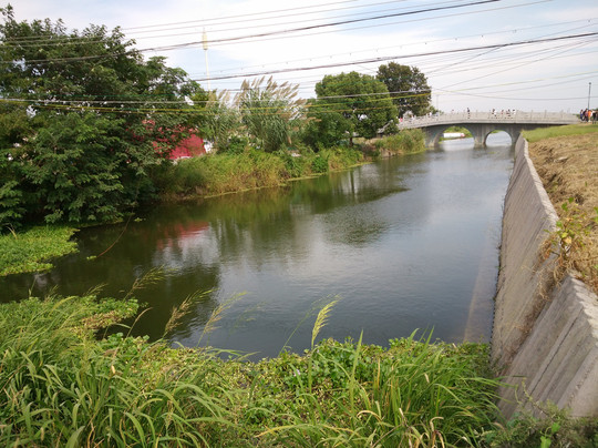 莲花岛-苏州市必去景点