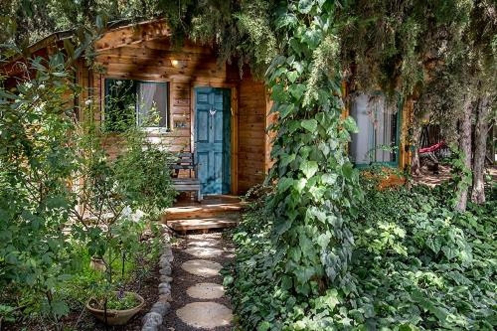 Aley Galil - wooden cabins in the forest主图