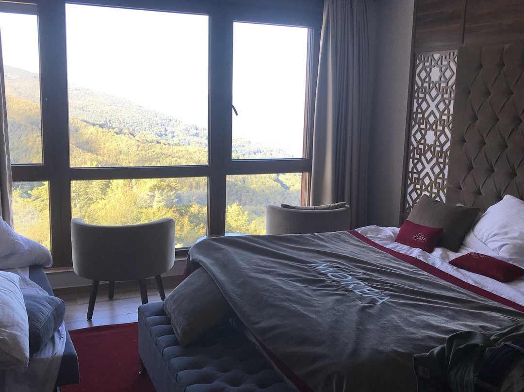 Hotel Morea主图