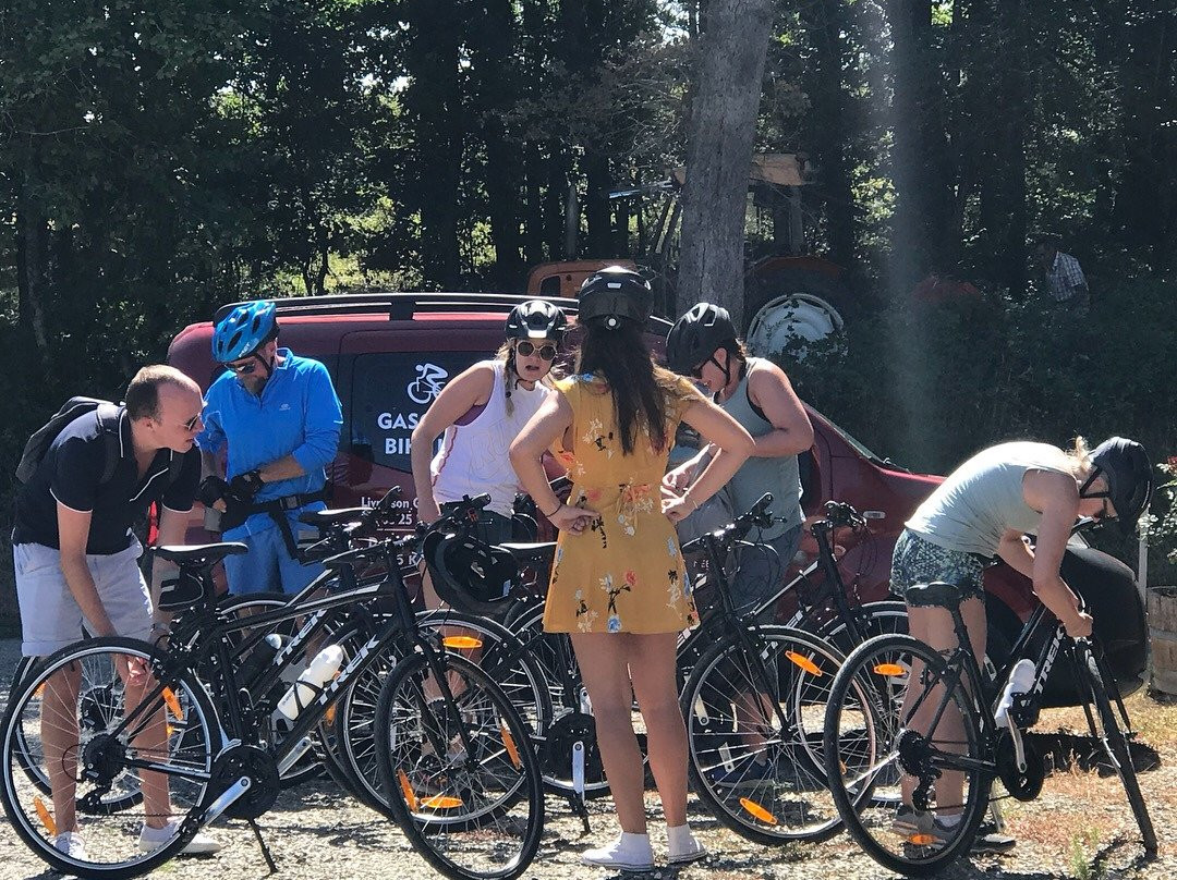 Gascogne Bike Hire景点图片