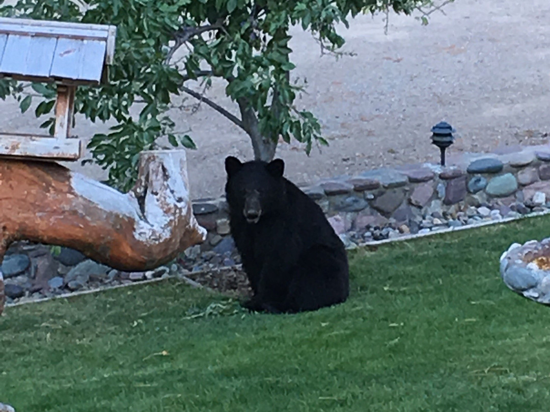 Meadow Lake View Bed and Breakfast主图
