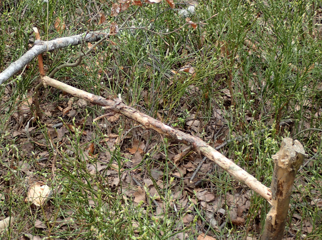 HOTROCK-拉贝河畔乌斯季必去景点