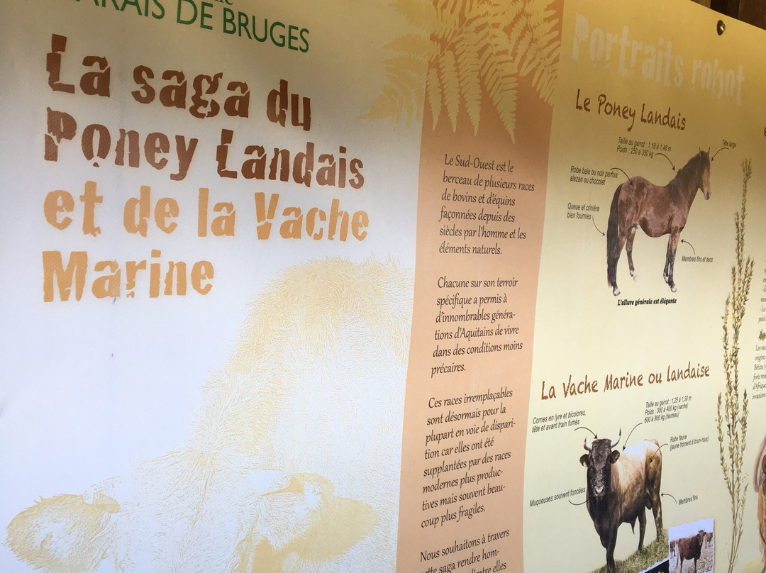 Reserve Naturelle Marais De Bruges景点图片