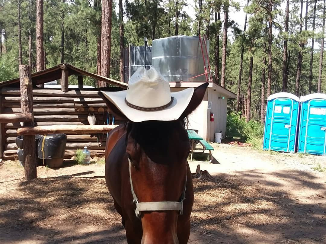 Prescott Horseback Riding-普雷斯科特必去景点