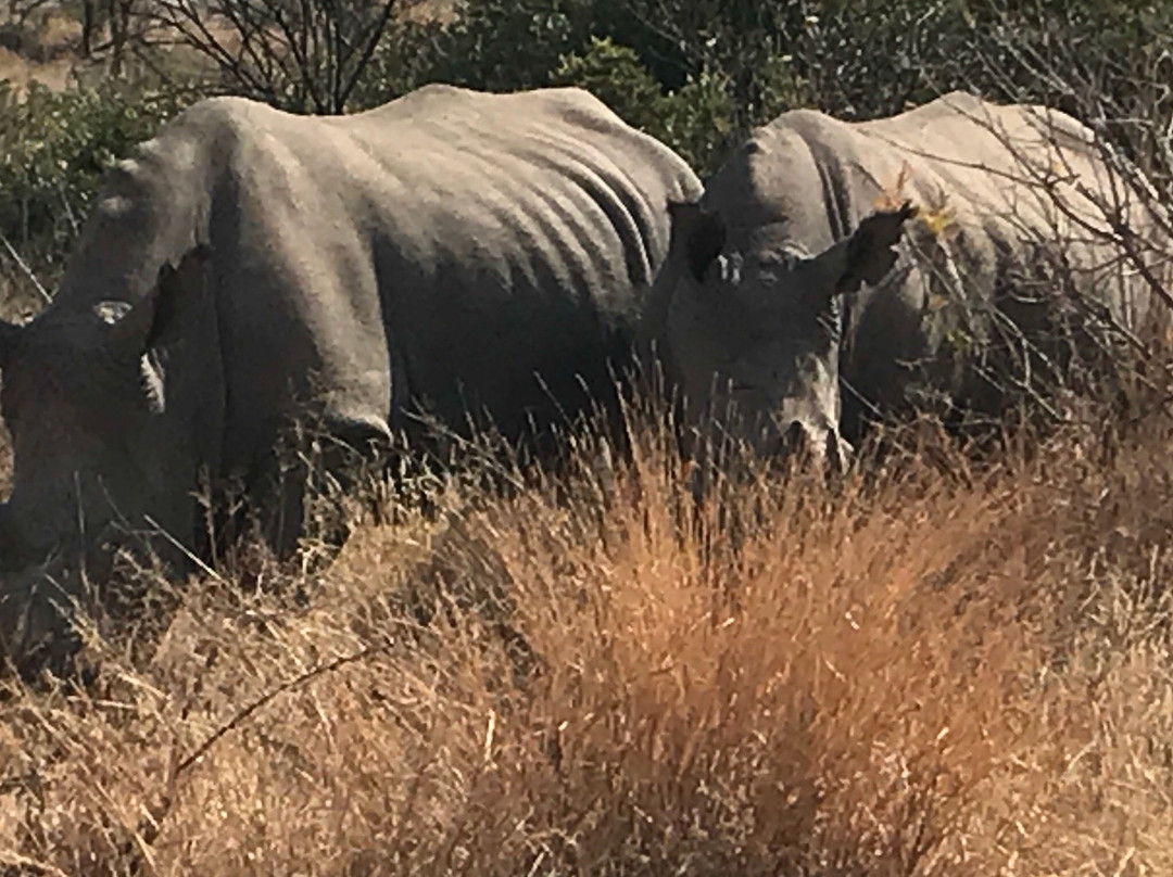 Ponciana Superior Guesthouse主图