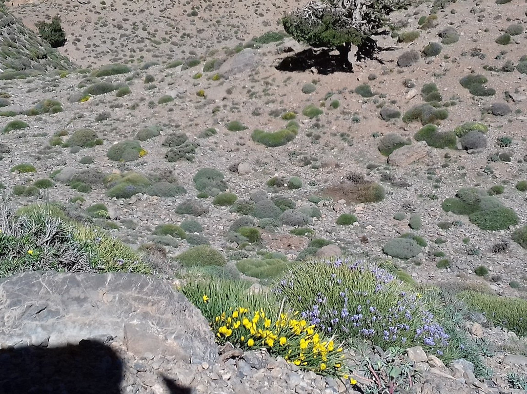 Randonnee Trek Maroc-Azilal必去景点