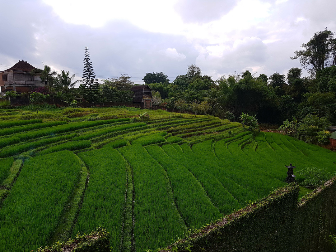 莫克沙精品度假酒店主图