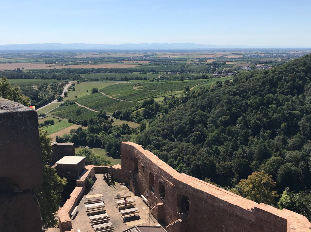 Burg Landeck景点图片