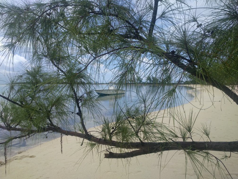 Treasure Cay Boat Rentals景点图片