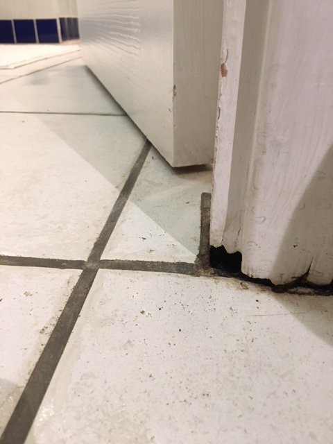 Albatross Guesthouse主图