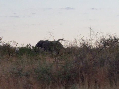 Discover Tours-白河必去景点