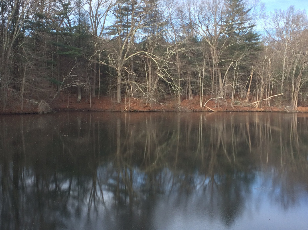 Blackstone River and Canal Heritage State Park景点图片