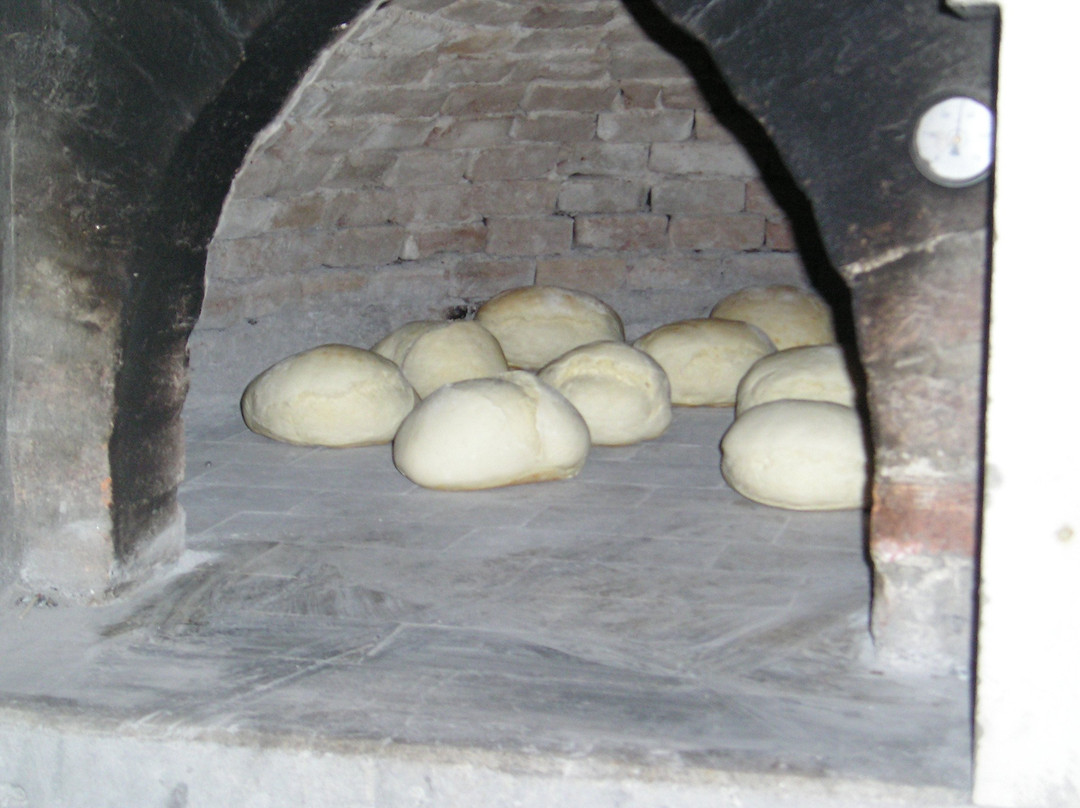 Riolo Terme餐馆和美食-Tenuta Nasano Azienda Agricola Gardi Bertoni