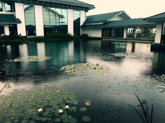 西山湖度假酒店(景德镇中国陶瓷博物馆店)主图