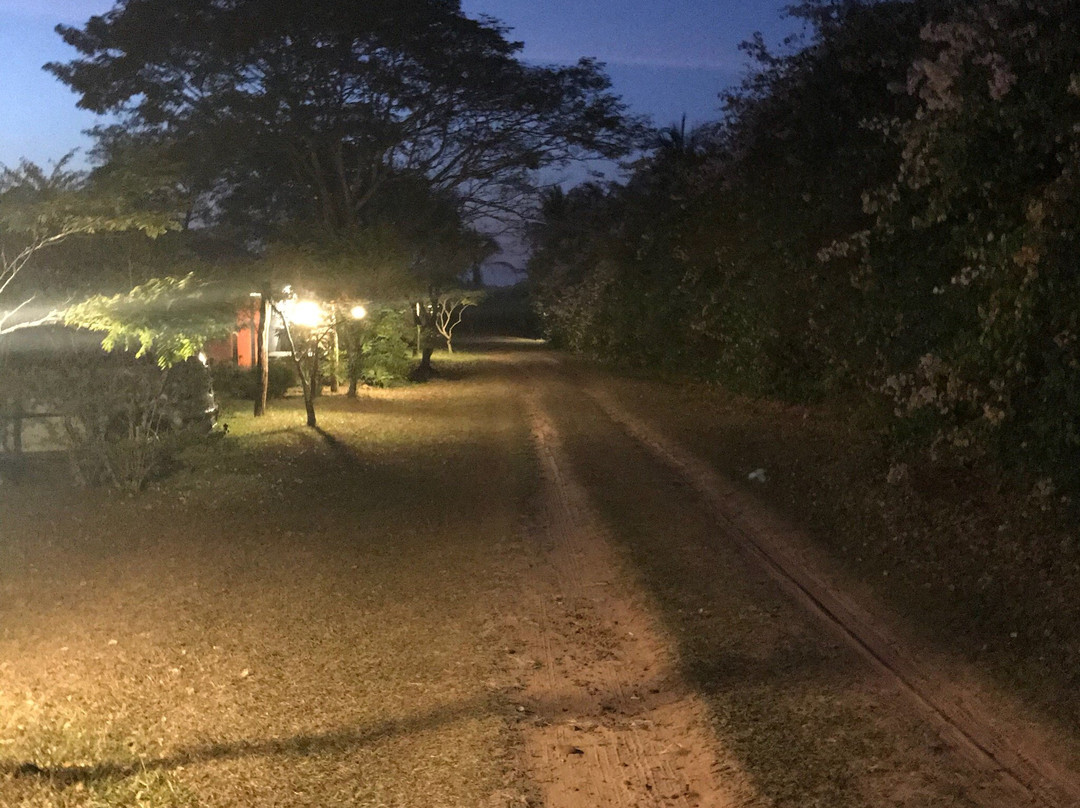Paulistania旅游攻略图片