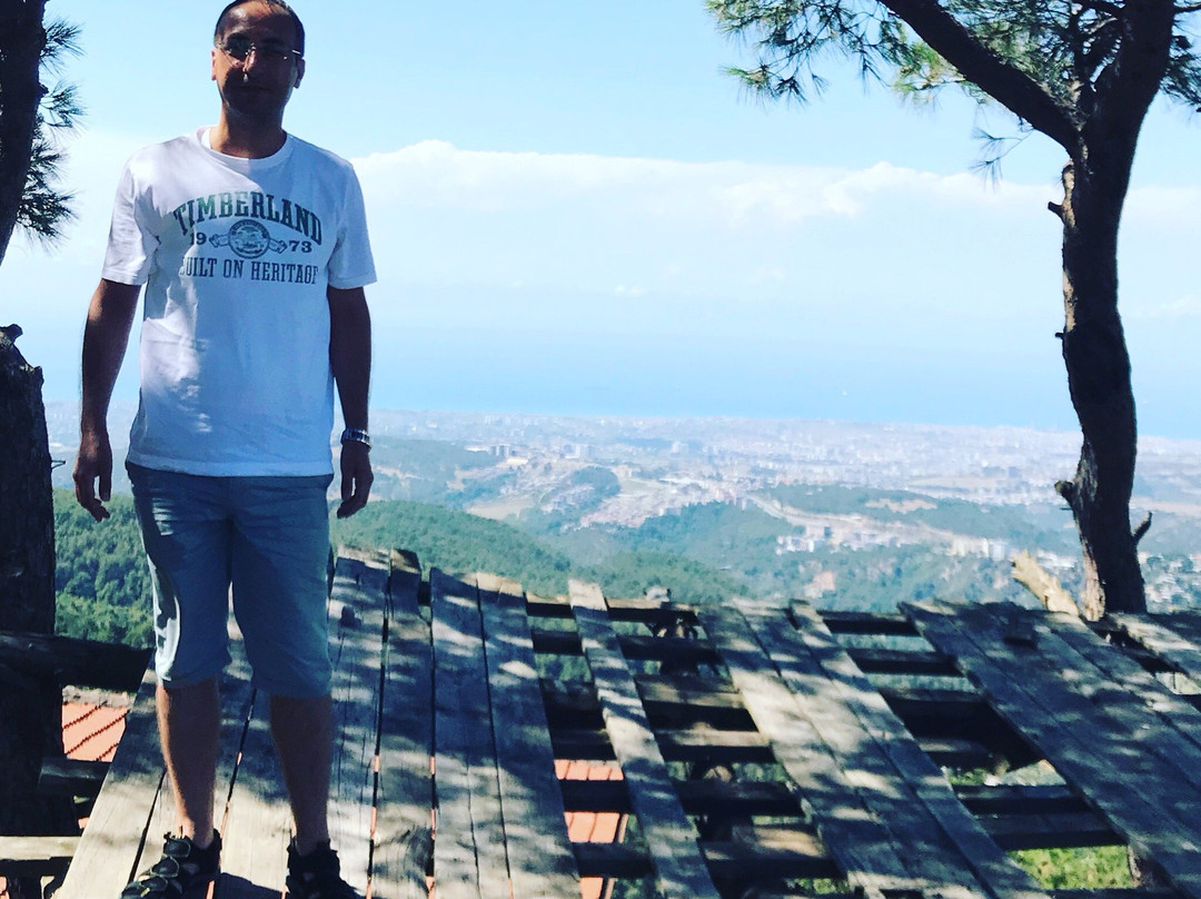 Sogukoluk (Guzelyayla) Piknik Alani景点图片