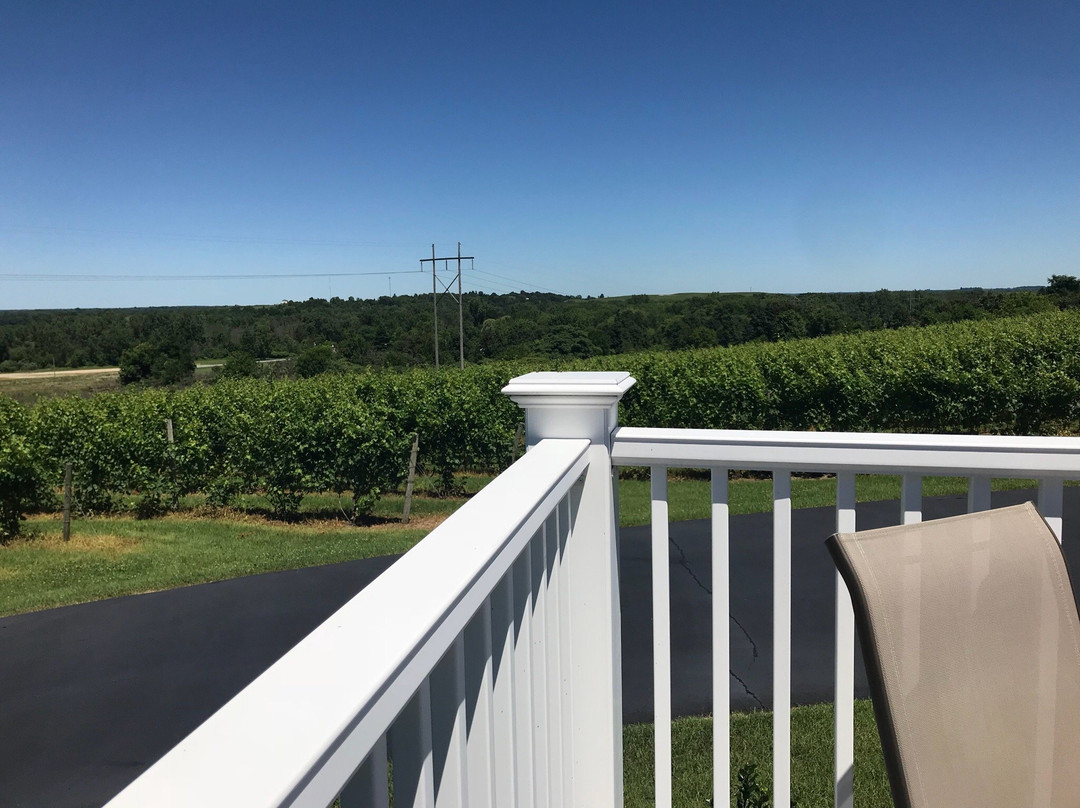 Contessa Wine Cellars Tasting Room-Coloma必去景点