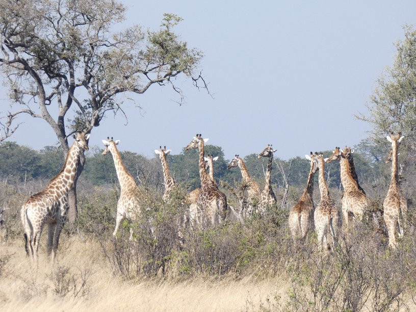 Elephants Eye Lodge主图