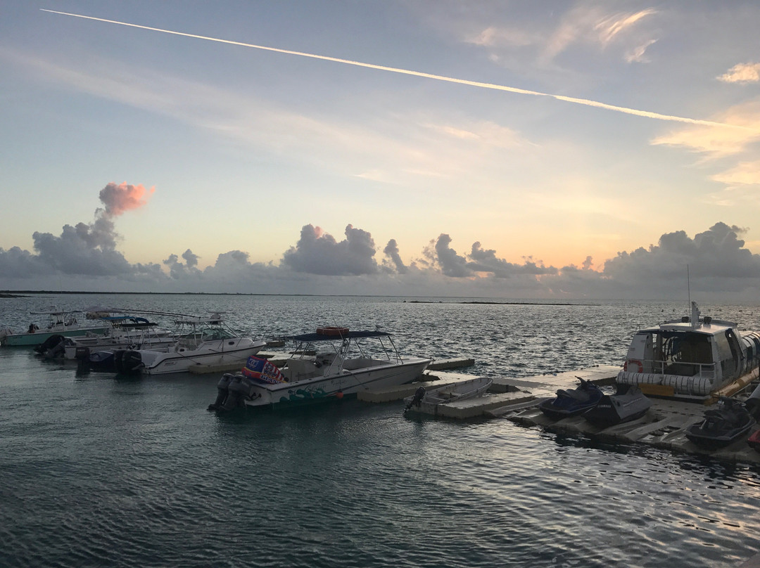 Indigenous Tours and Rentals-Kew必去景点